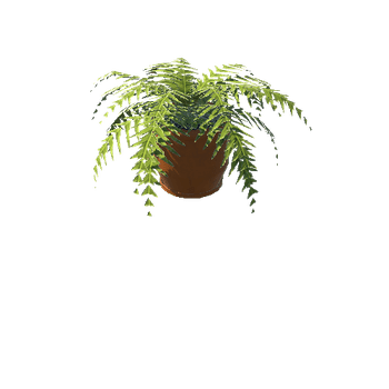 Plant_Small_06
