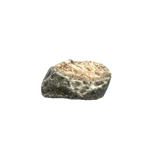 prefab_SM_Small_Rock_04_Litter