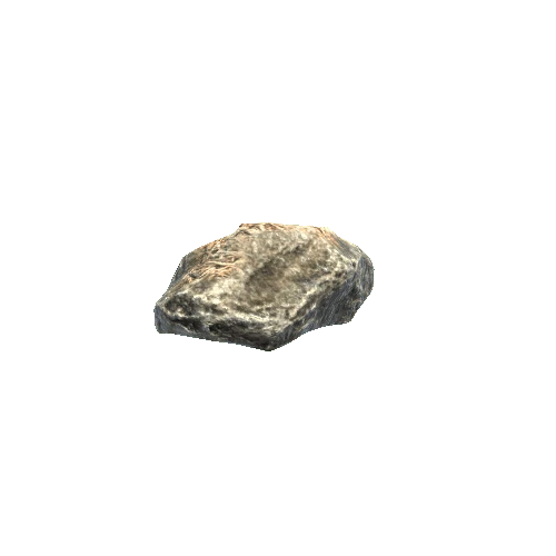 prefab_SM_Small_Rock_05_Litter