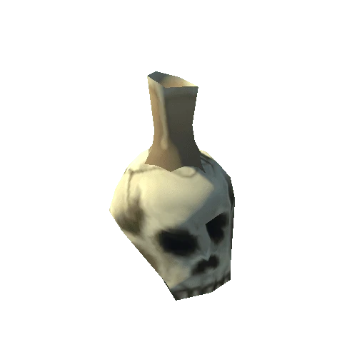 Skull_02