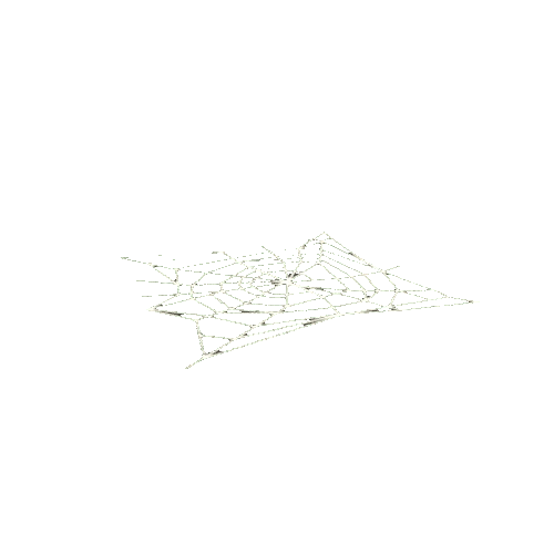 Spiderweb_02