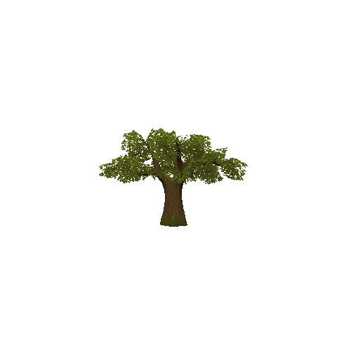 Oak_tree1