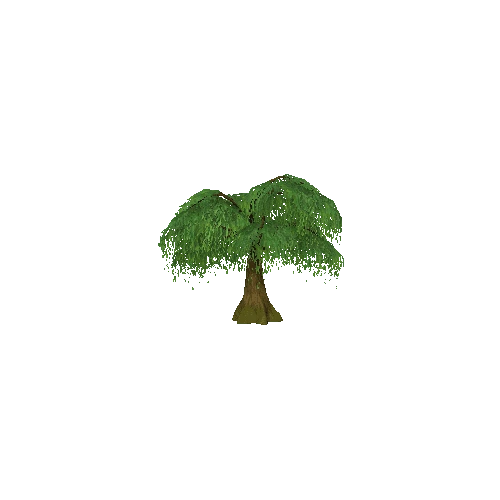 Willow_tree1