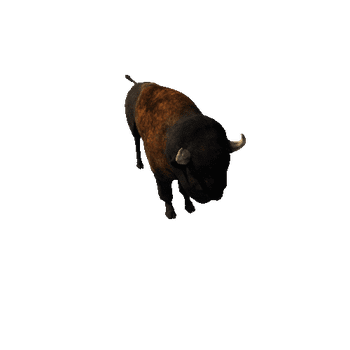 American_Bison_HP