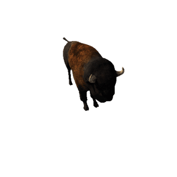 American_Bison_MP