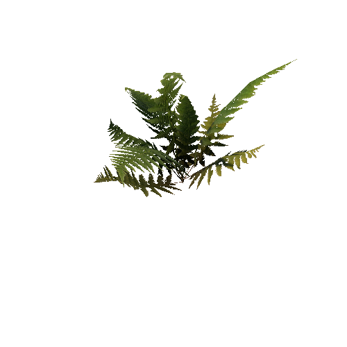 prefab_SM_fern_01_0