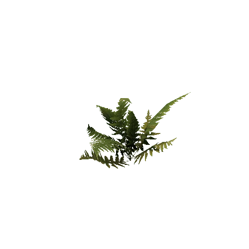 prefab_SM_fern_01_0