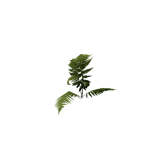 prefab_SM_fern_01_2