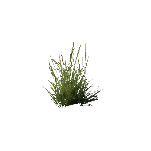 prefab_SM_grass_bush_02