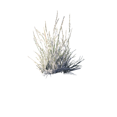 prefab_SM_grass_bush_02_1