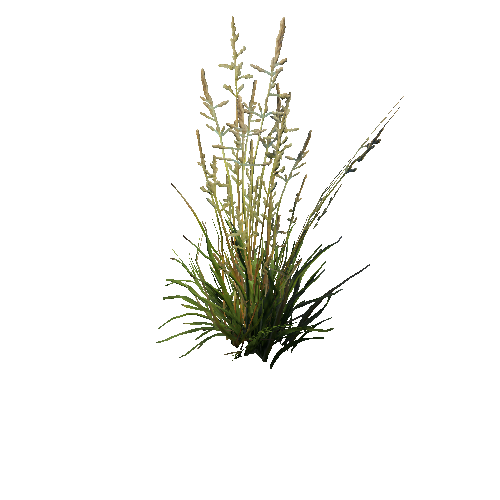 prefab_SM_grass_bush_03