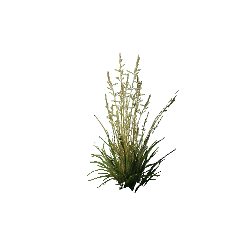 prefab_SM_grass_bush_03