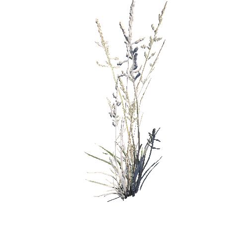 prefab_SM_grass_bush_simple_04_1