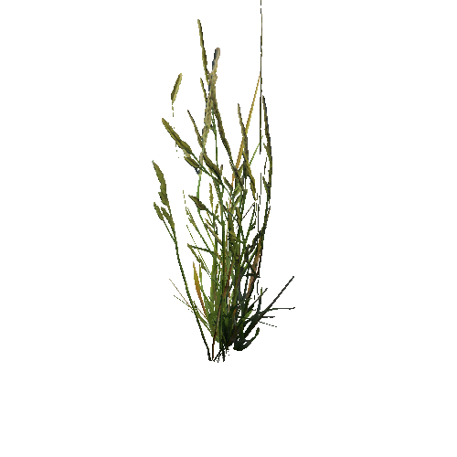 prefab_SM_grass_bush_simple_05