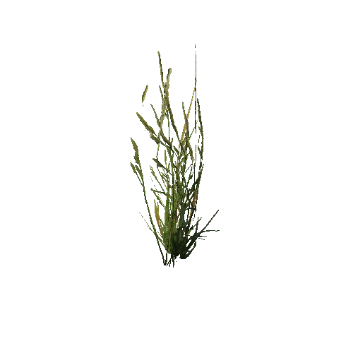 prefab_SM_grass_bush_simple_05