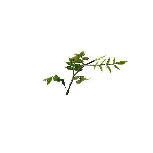 prefab_SM_ground_foliage_02_1