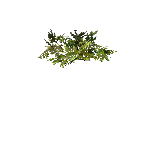 prefab_SM_ground_foliage_03