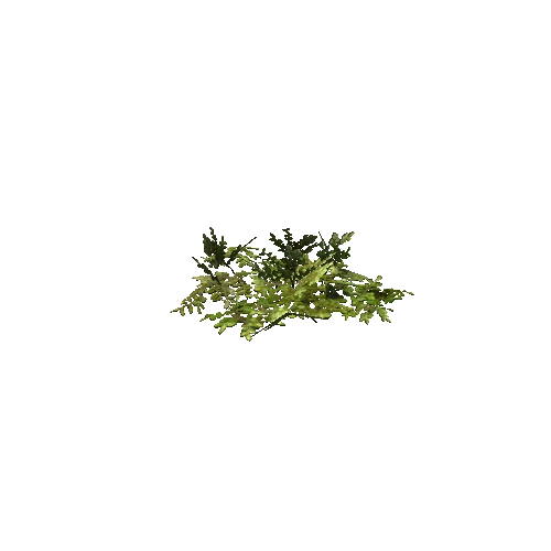 prefab_SM_ground_foliage_03