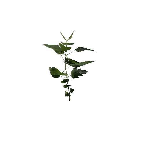 prefab_SM_nettle_01_0