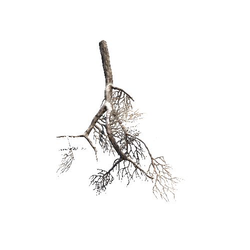 prefab_Snow_crooked_root_05