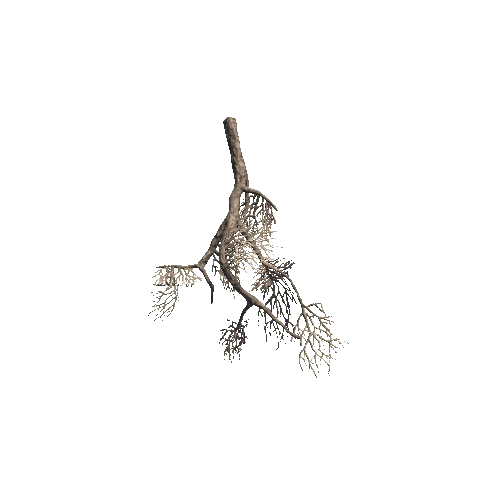 prefab_crooked_root_05