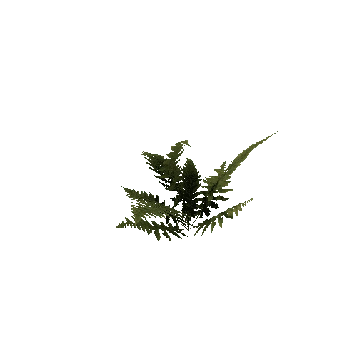 prefab_unity_grass_fern_01_0