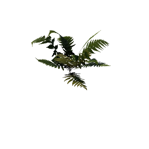 prefab_unity_grass_fern_01_1