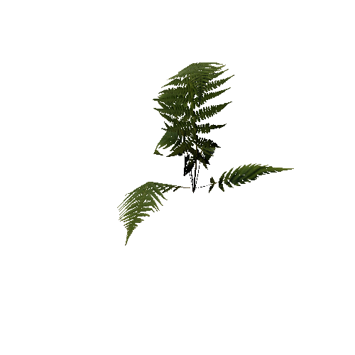 prefab_unity_grass_fern_01_2