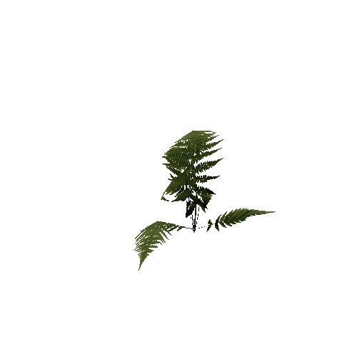 prefab_unity_grass_fern_01_2