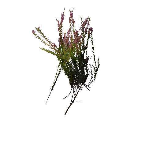 prefab_unity_grass_forest_heather_simple_01