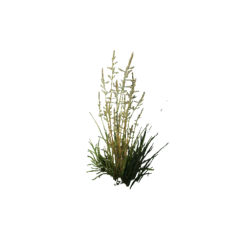 prefab_unity_grass_grass_bush_03