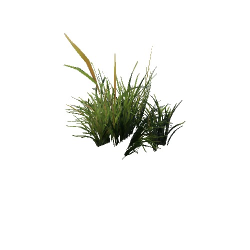 prefab_unity_grass_grass_bush_04