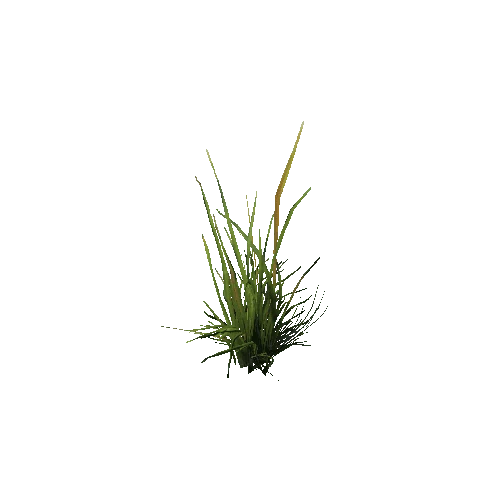 prefab_unity_grass_grass_bush_simple_03