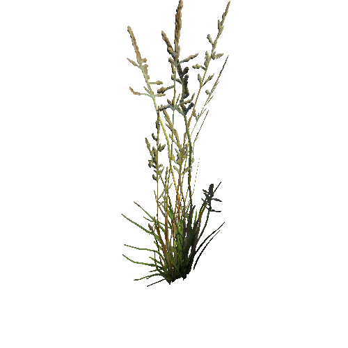 prefab_unity_grass_grass_bush_simple_04