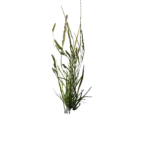 prefab_unity_grass_grass_bush_simple_05