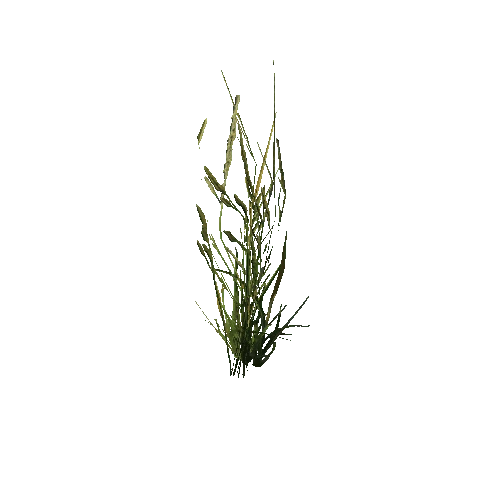 prefab_unity_grass_grass_bush_simple_05