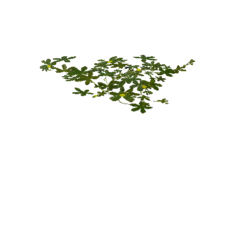 prefab_unity_grass_ground_foliage_01_flowery