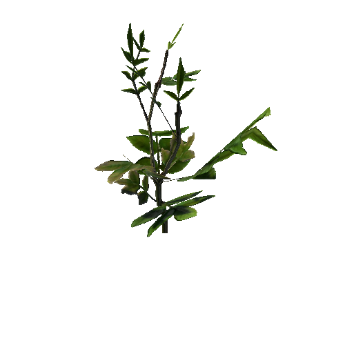 prefab_unity_grass_ground_foliage_02_0