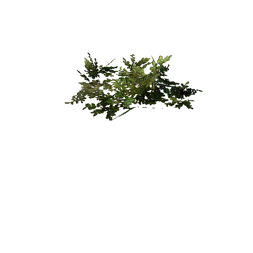 prefab_unity_grass_ground_foliage_03