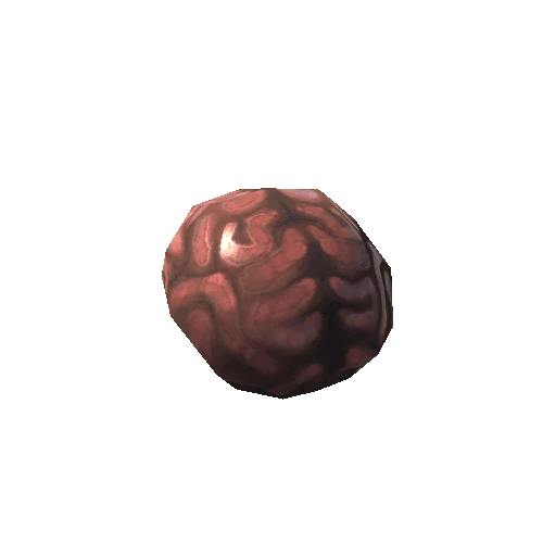 brain