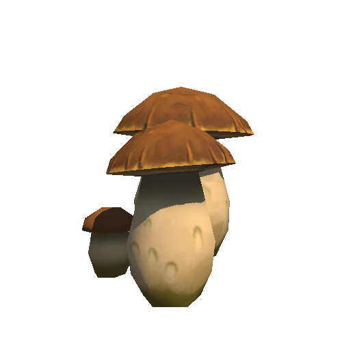 Mushroom1