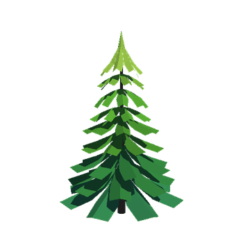 Fir-Tree_02