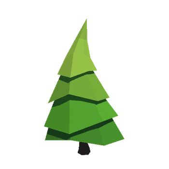 Fir-Tree_04