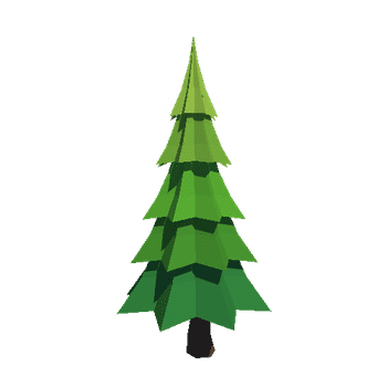 Fir-Tree_05