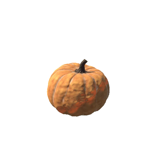 Pumpkin_Basic_01