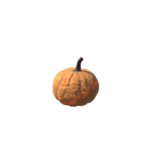 Pumpkin_Basic_02