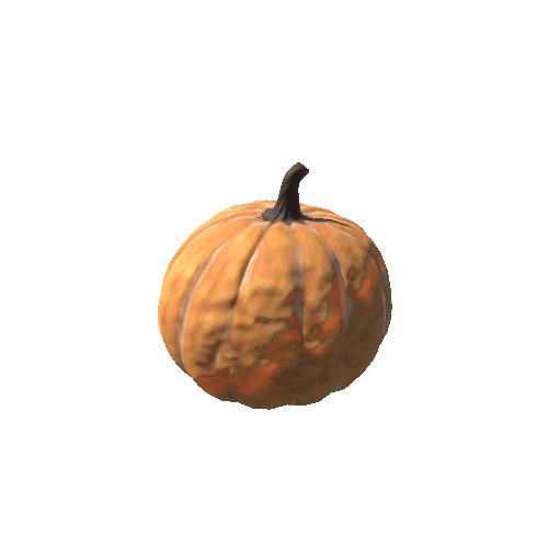 Pumpkin_Basic_03