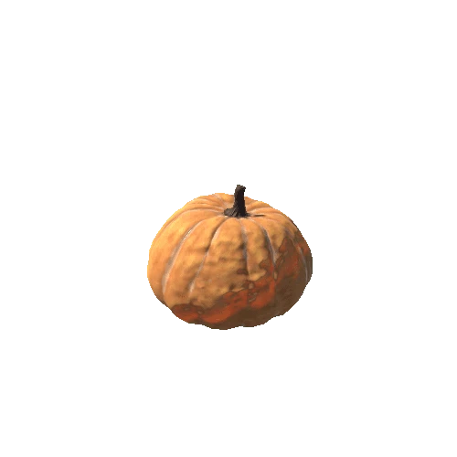 Pumpkin_Basic_04
