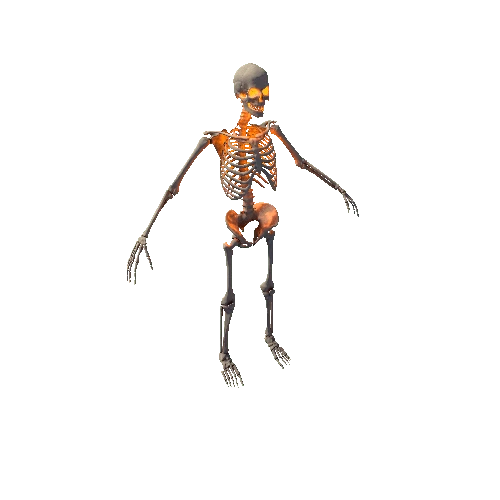 Skeleton_01