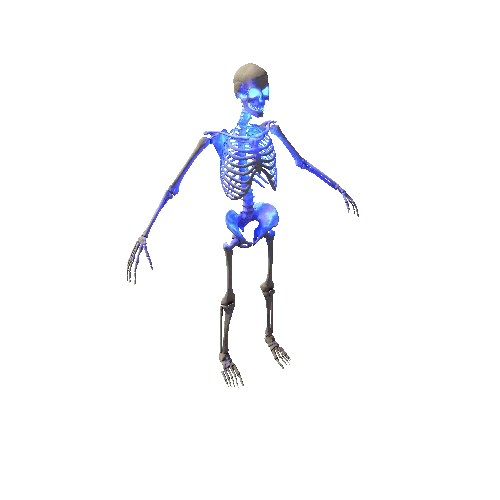 Skeleton_03